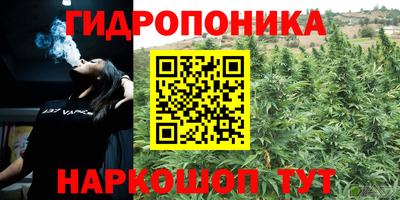 spice Краснокаменск