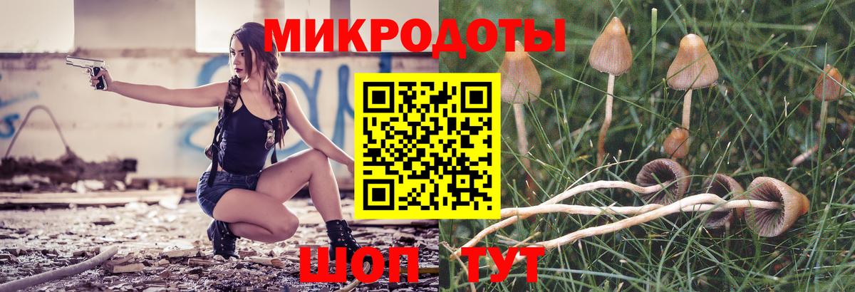 Псилоцибиновые грибы Cubensis  Вход с VPN  Якутск 